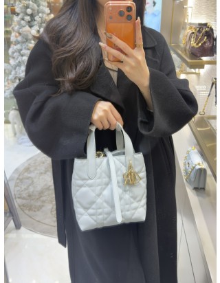 디올 뚜주흐 스몰 버티컬 토트 백