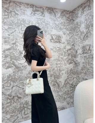 레이디 디올 마이 ABC 스몰백