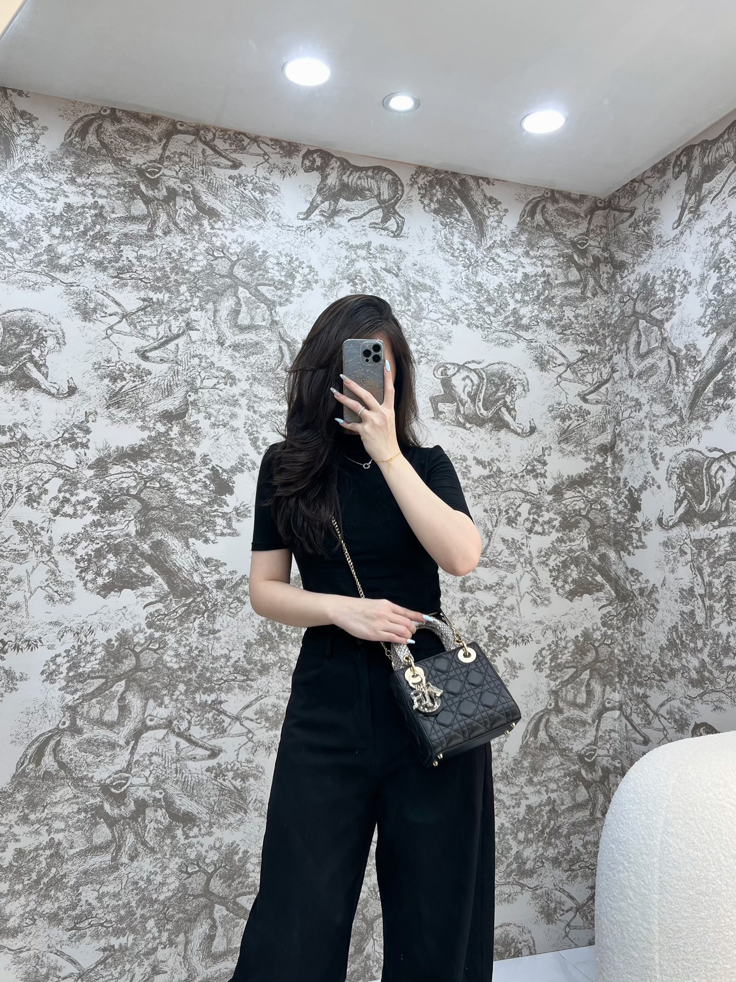 레이디 디올 백 미니