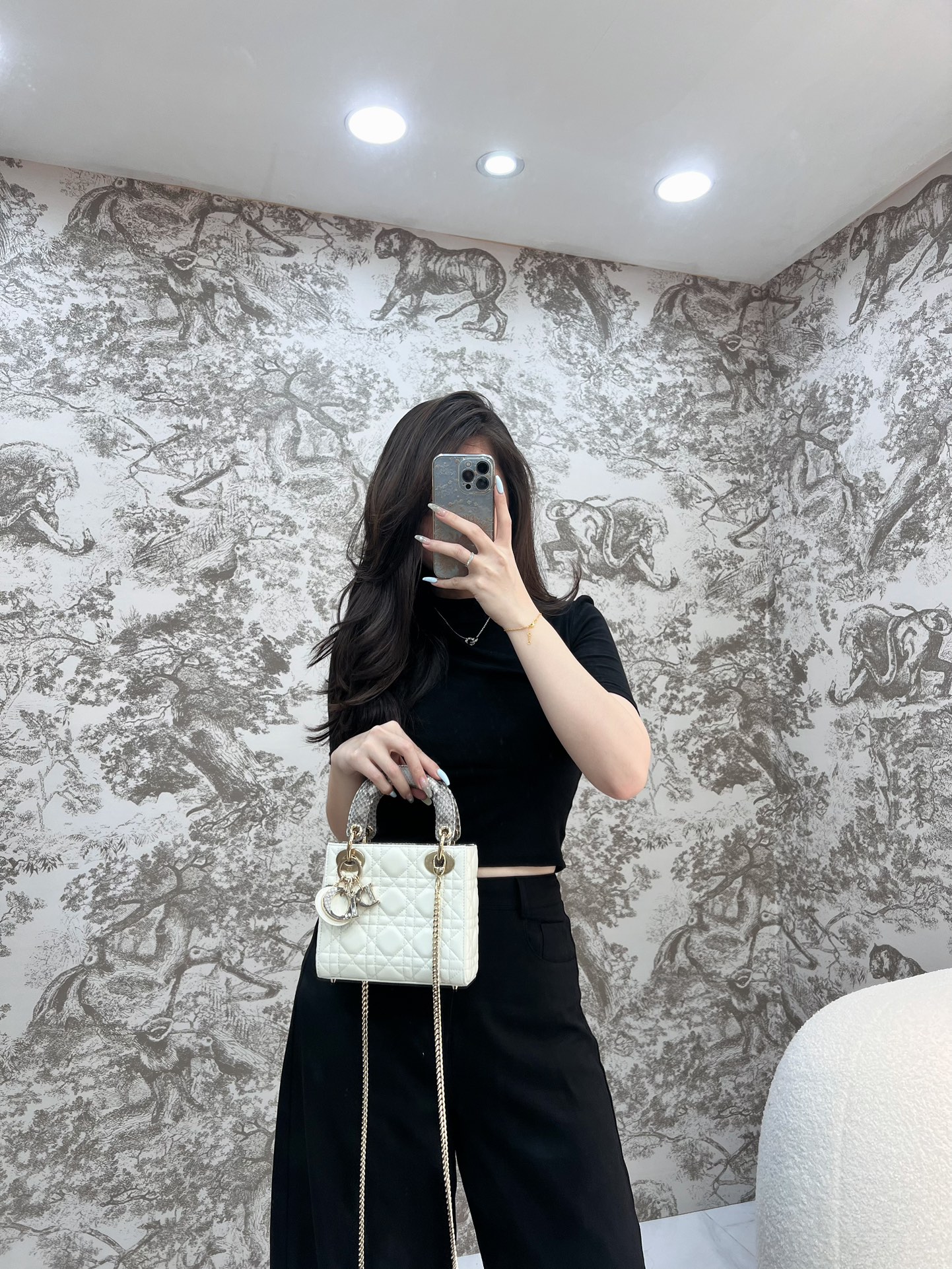 레이디 디올 백 미니