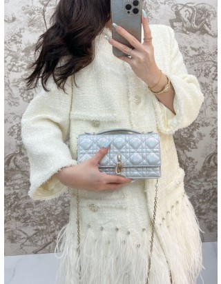 마이 디올 미니백