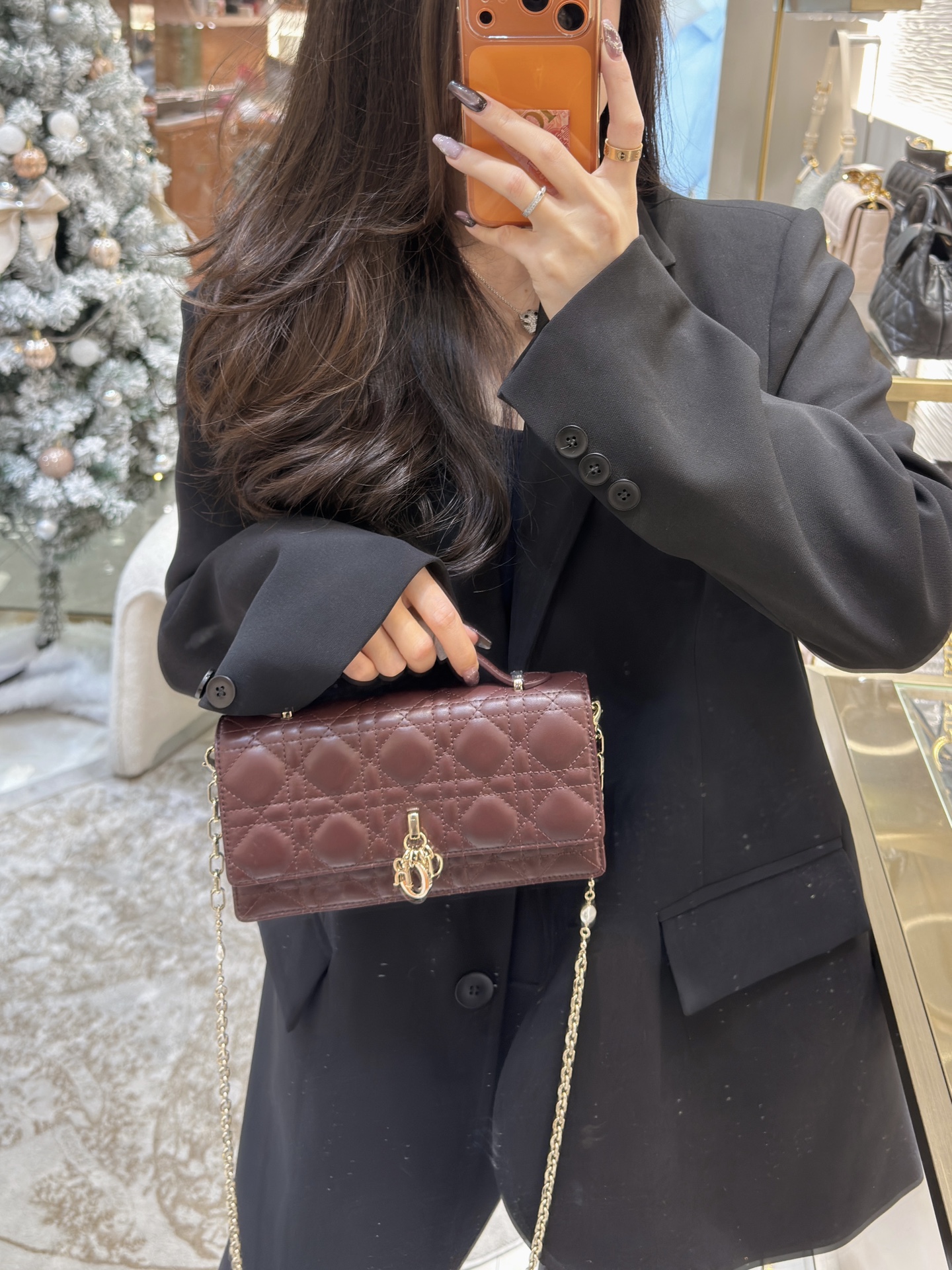 마이 디올 미니백